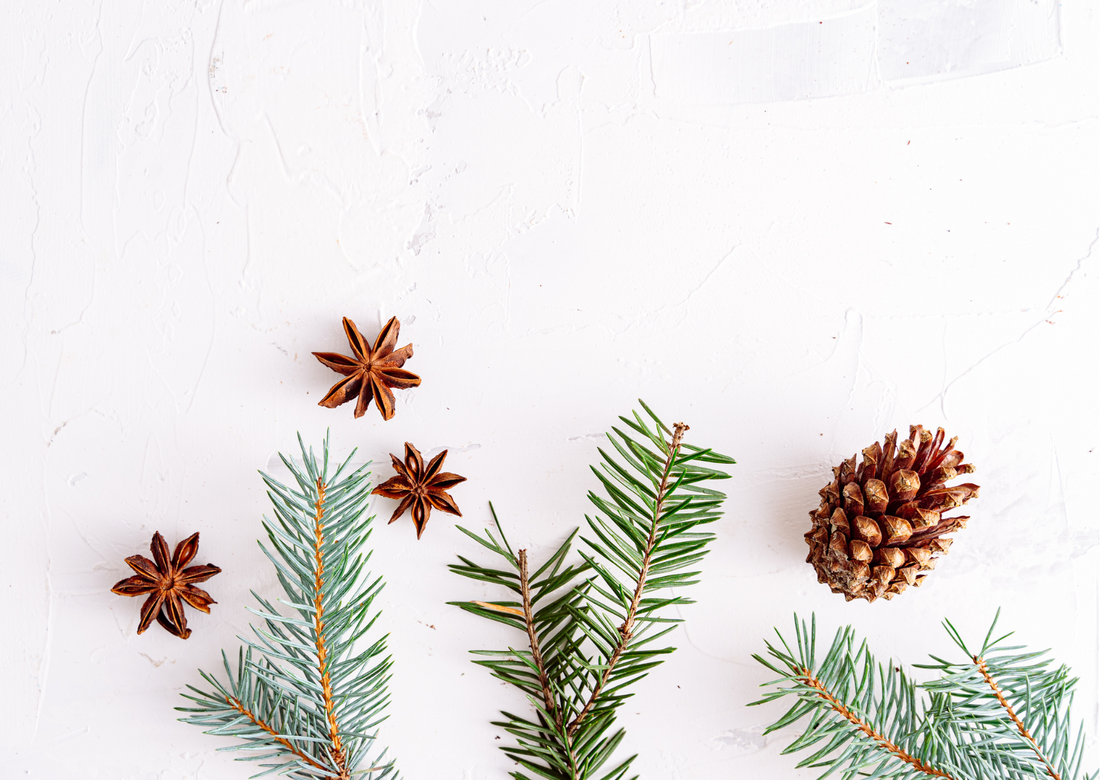 Un Noël écoresponsable avec Yanél