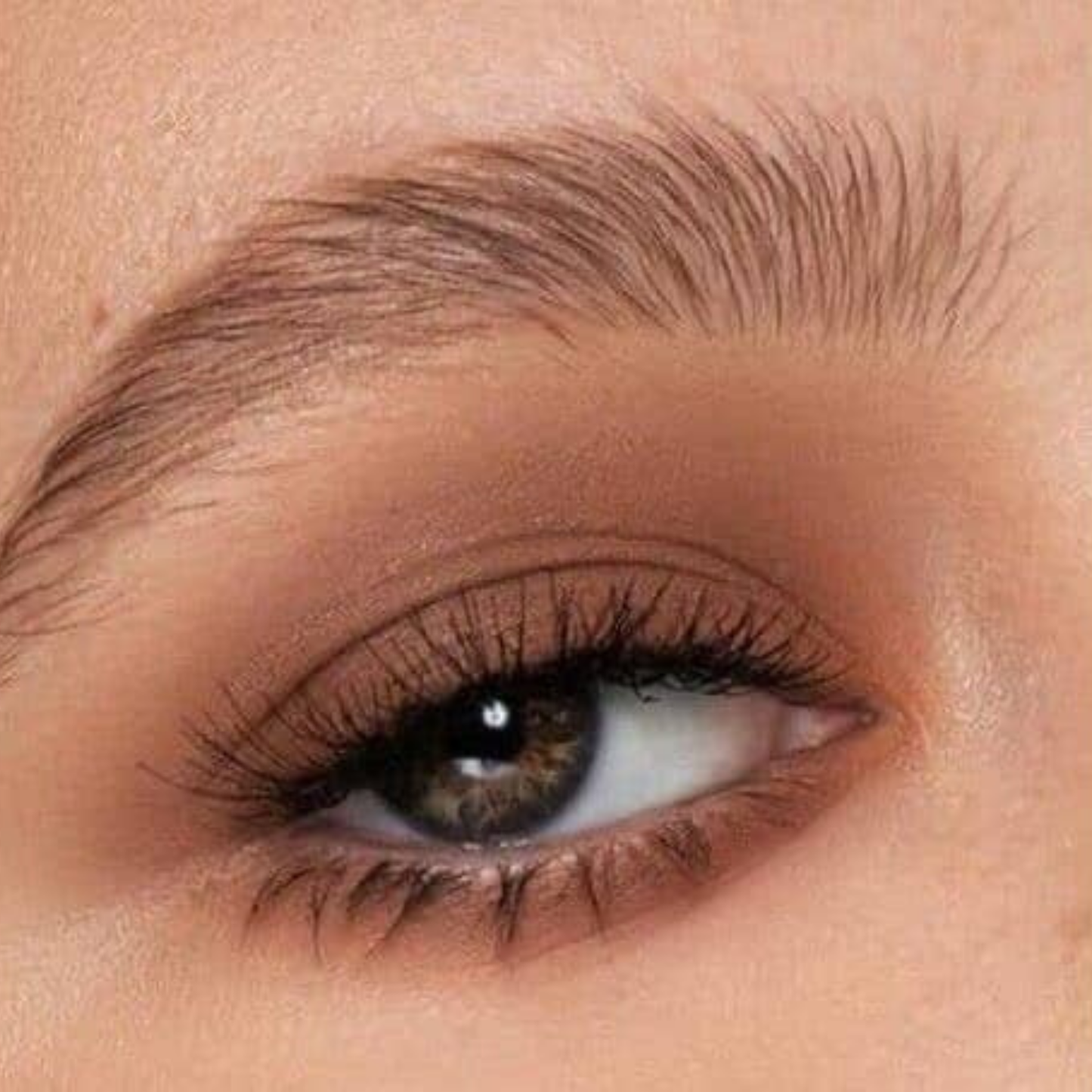 Eyeshadow - Lea