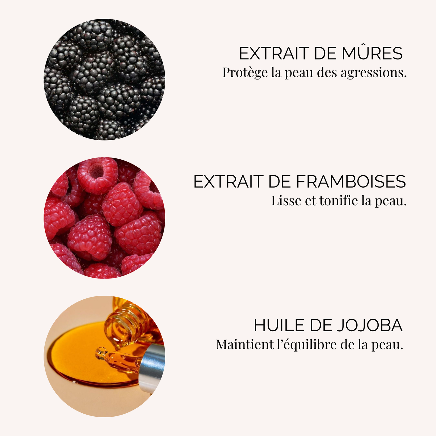 Eyeshadow - Chloé